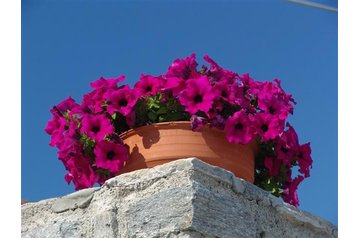 Grecja Hotel Pisso Livadi, Zewnątrz